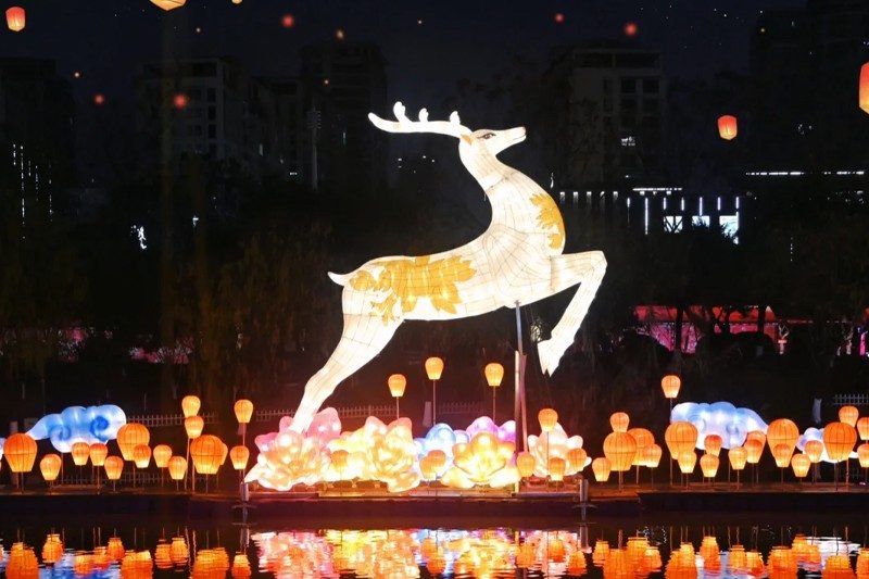 白鹿踏花·星辉如昼