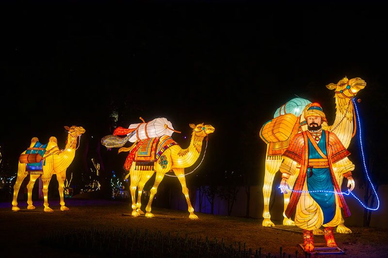 2025无锡梅园金秋灯会(图2)