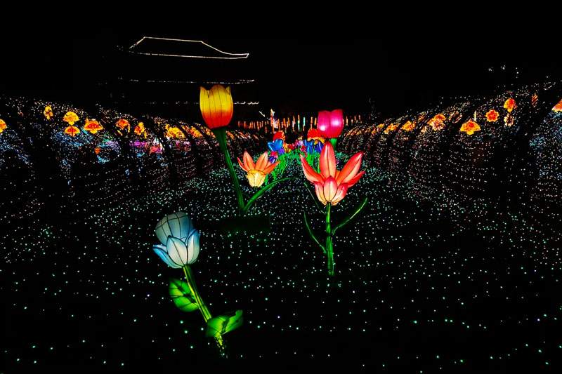 5 2025雁江字库山灯会(图5)