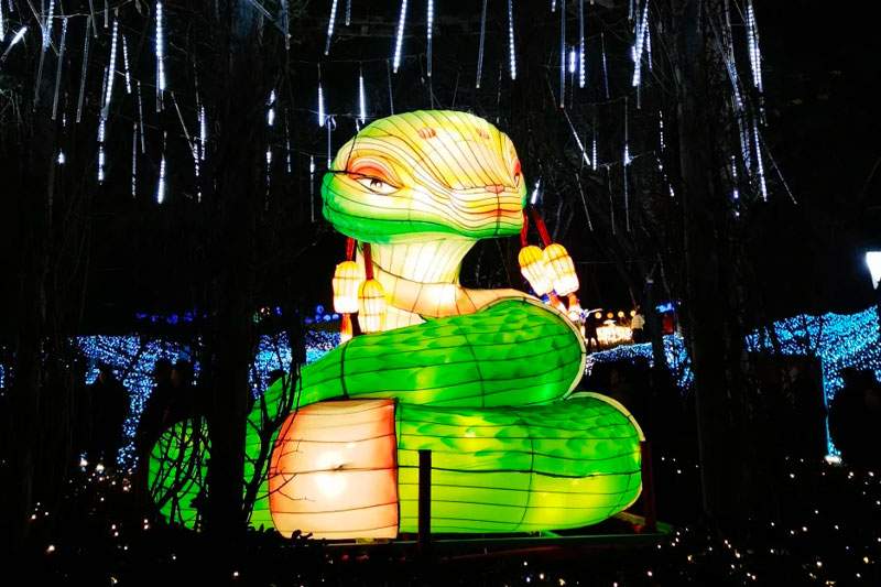 6 2025雁江字库山灯会(图6)