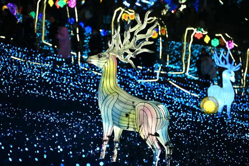 8 2025雁江字库山灯会(图8)