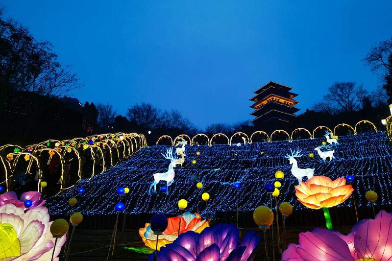 7 2025雁江字库山灯会(图9)