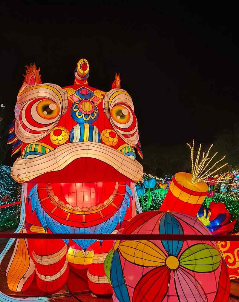 12 2025雁江字库山灯会(图12)