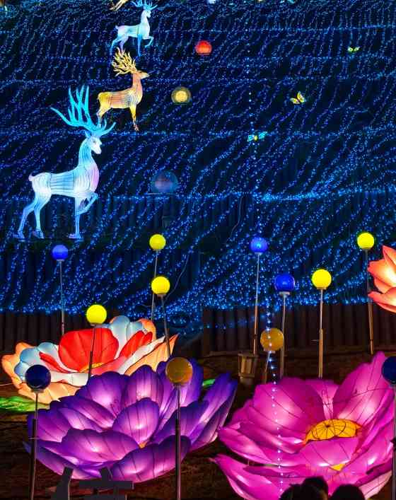 13 2025雁江字库山灯会(图13)