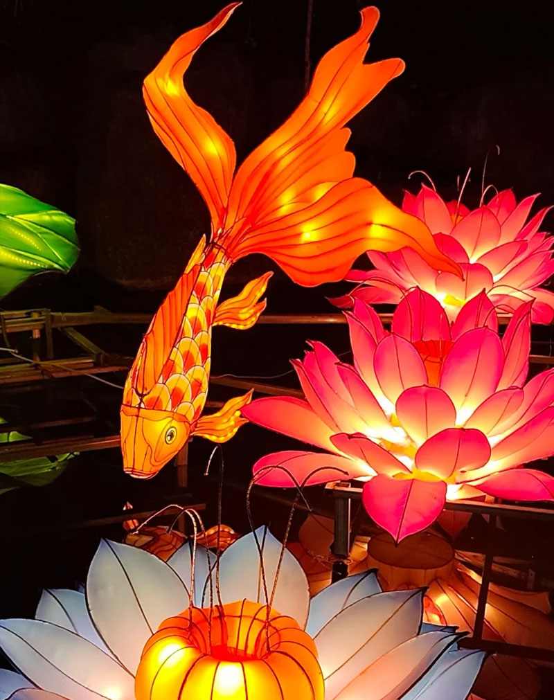 15 2025雁江字库山灯会(图14)