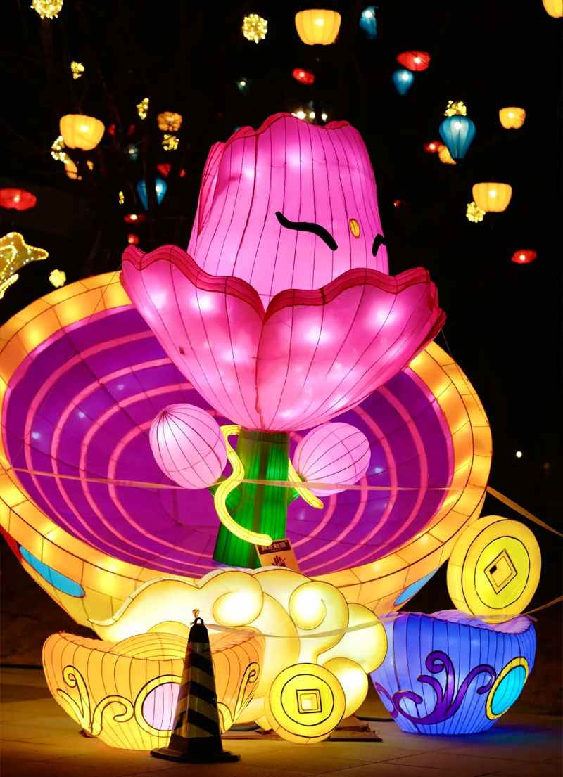 湖州山海经灯会(图8)