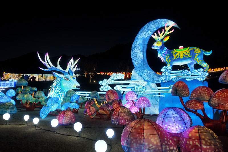 湖州山海经灯会(图9)