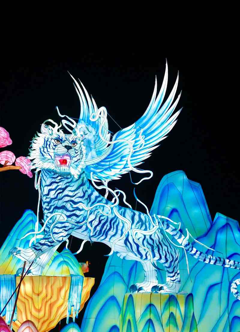 湖州山海经灯会(图12)