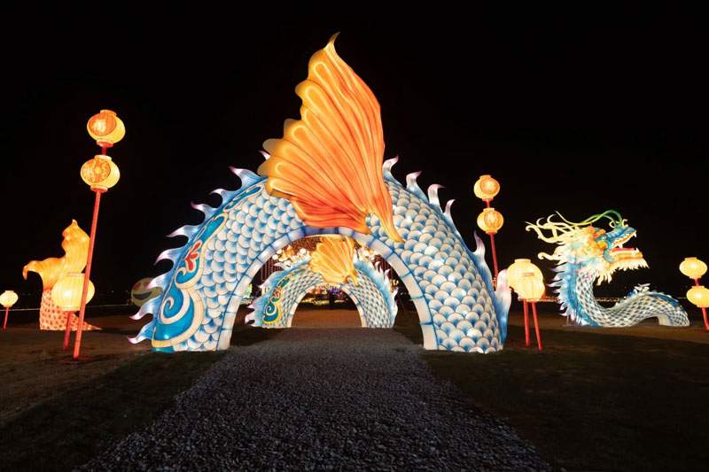 5 2025瑞安灯会(图5)