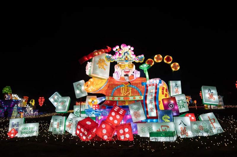 6 2025瑞安灯会(图7)