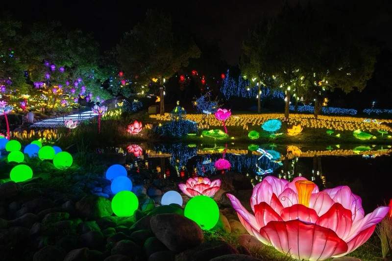 花海幻境·尚田灯会(图5)