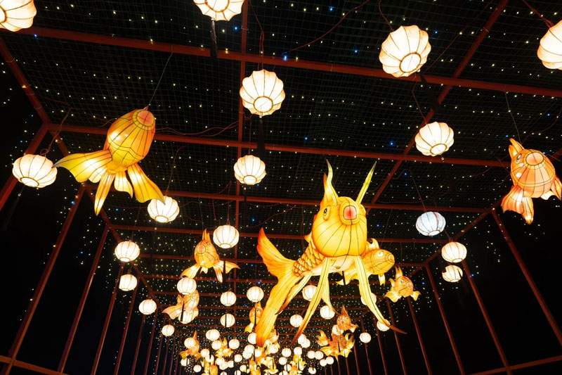 2 2025瑞安灯会(图2)