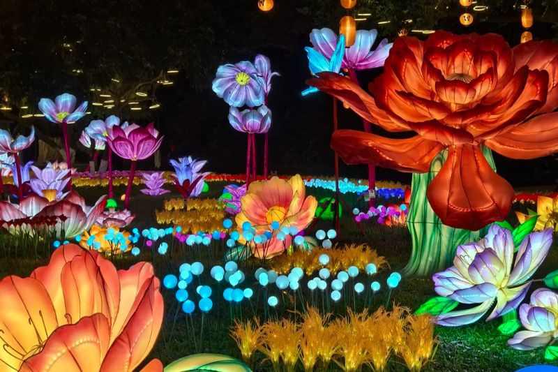 大唐妙会·梦游仙境(图1) 大唐妙会·梦游仙境