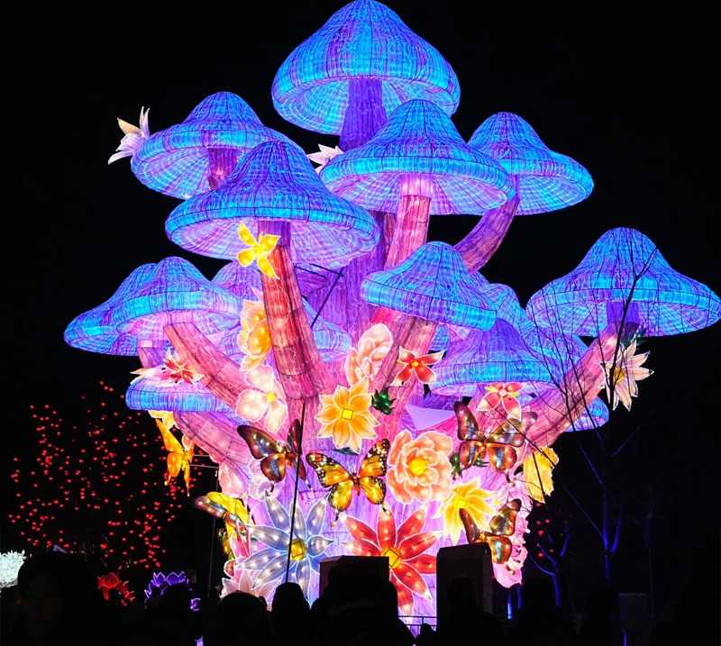 第三届北京世园花灯艺术节(图9)