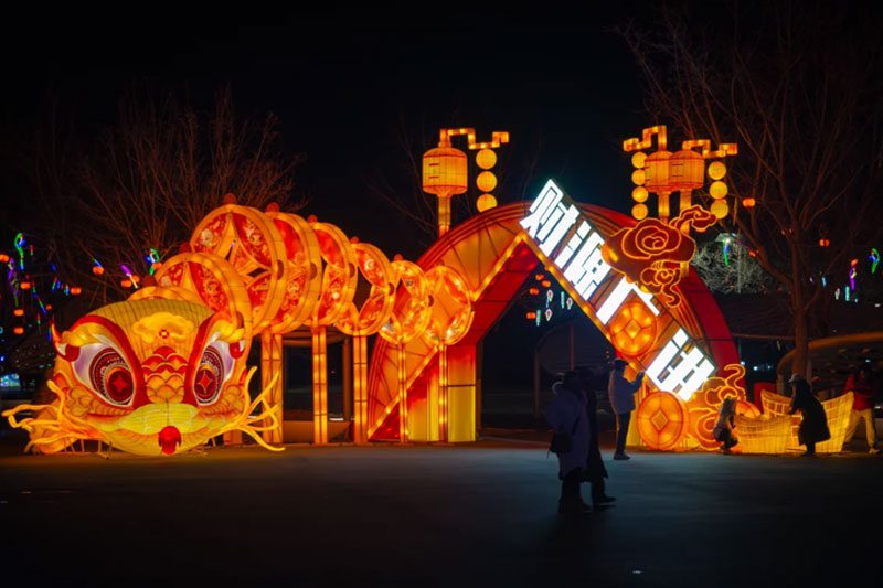 第三届北京世园花灯艺术节(图8)