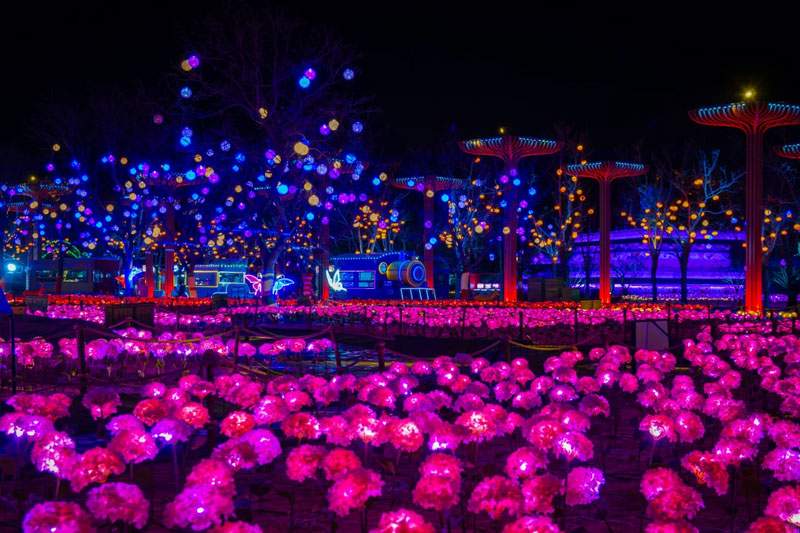 第三届北京世园花灯艺术节(图4)