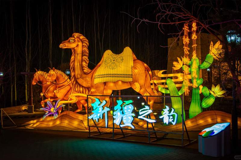 第三届北京世园花灯艺术节(图7)