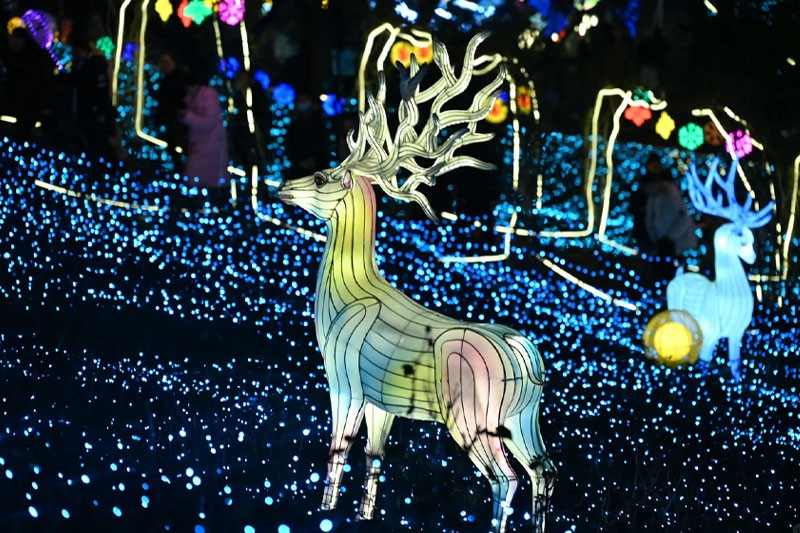 8.jpg 2025雁江字库山灯会(图8)