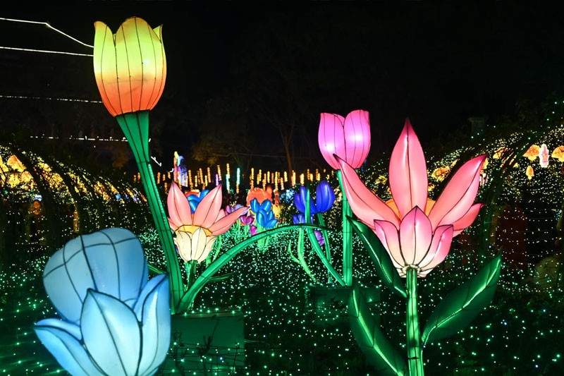 9.jpg 2025雁江字库山灯会(图9)