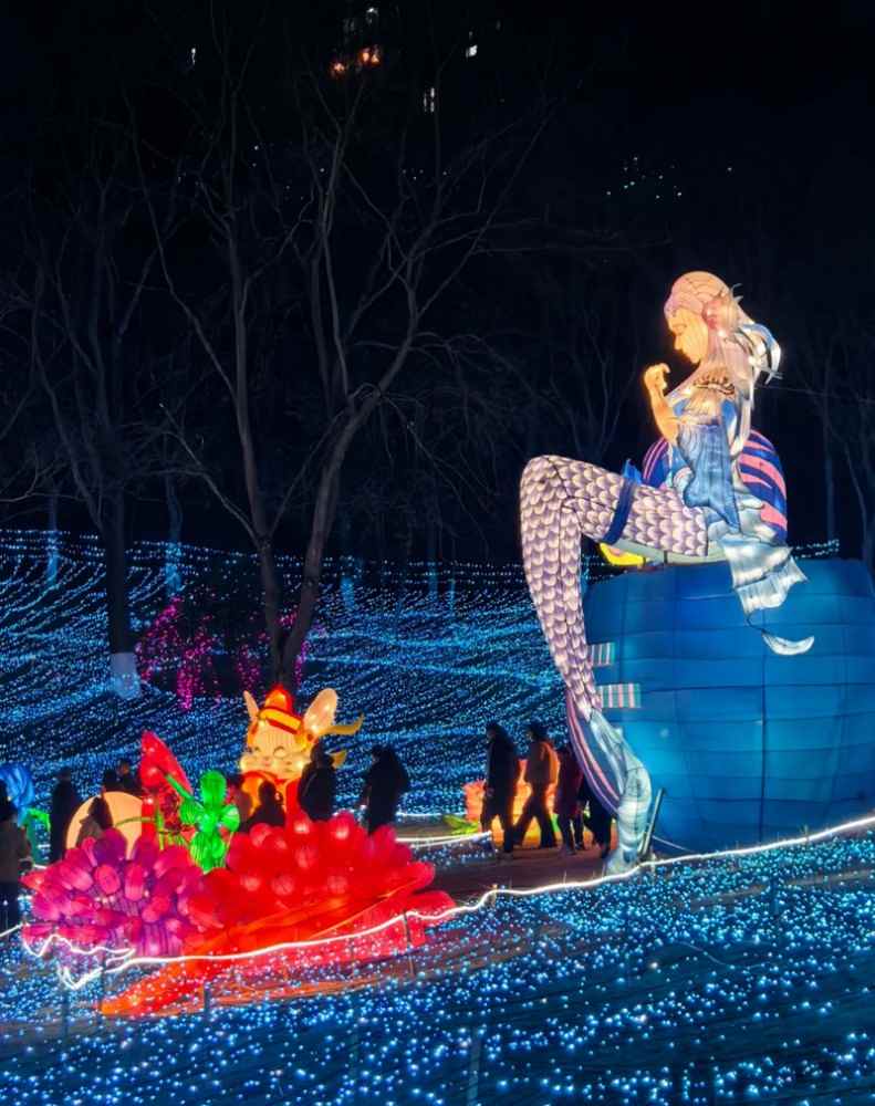 14.jpg 2025雁江字库山灯会(图14)