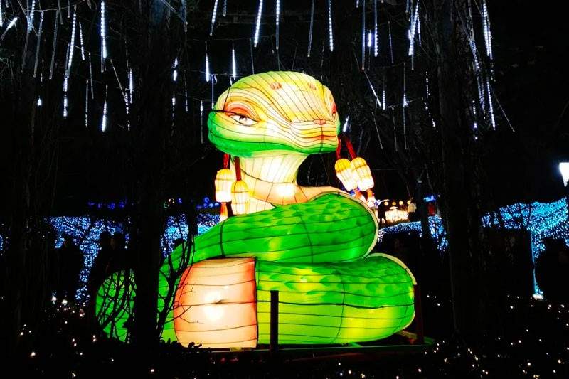 6.jpg 2025雁江字库山灯会(图6)