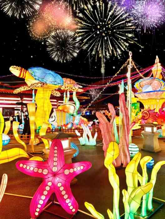 5.jpg 2025宿迁新春灯会(图11)