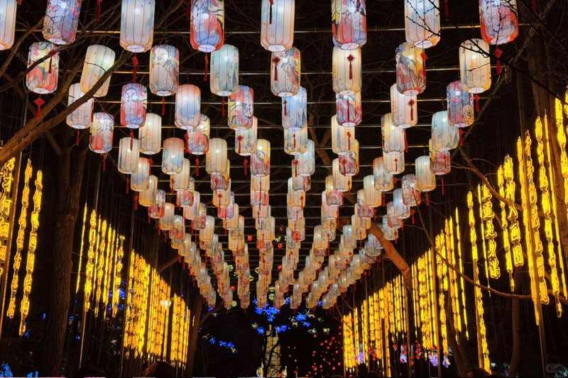 10.jpg 合肥首届逍遥津新春灯会(图3)