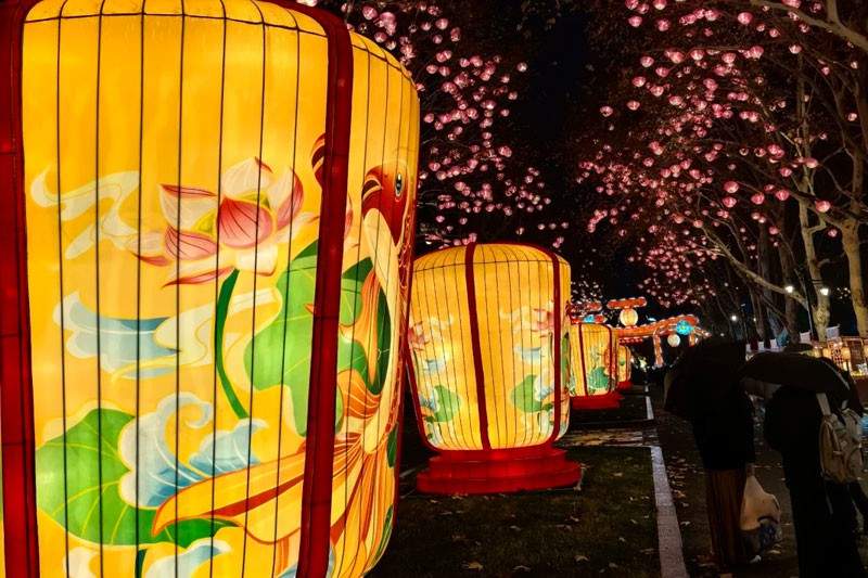 14.jpg 合肥首届逍遥津新春灯会(图8)