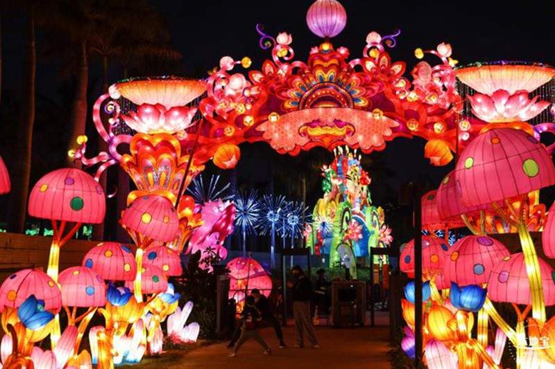 下载.jpg 2025深圳湾区超级灯会(图2)