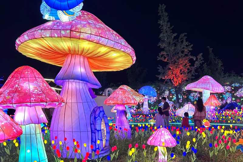 苏州大阳山童话奇遇夜落幕，吸引30万人次游客(图4)