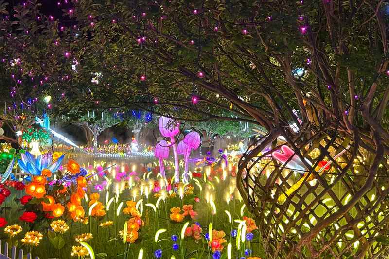 苏州大阳山童话奇遇夜落幕，吸引30万人次游客(图6)