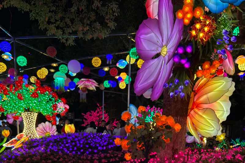 苏州大阳山童话奇遇夜落幕，吸引30万人次游客(图5)