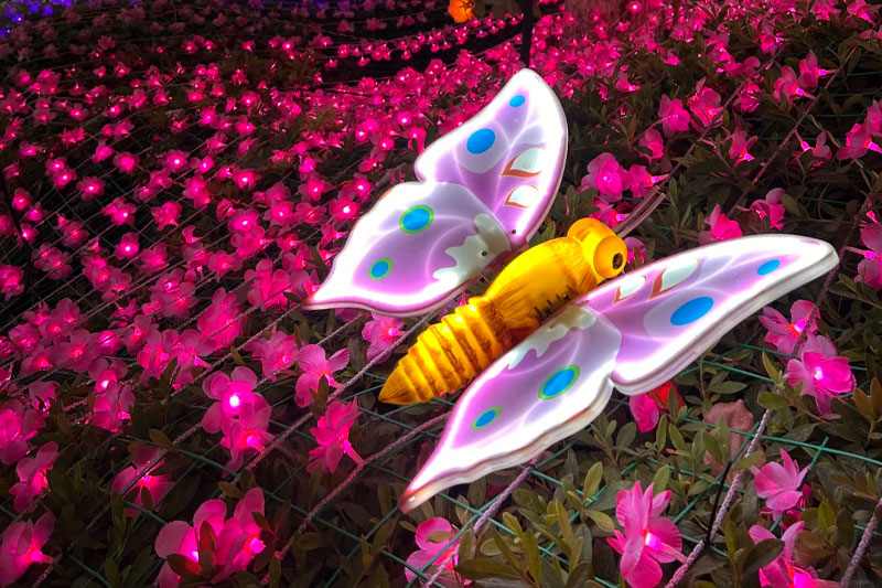 苏州大阳山童话奇遇夜落幕，吸引30万人次游客(图7)