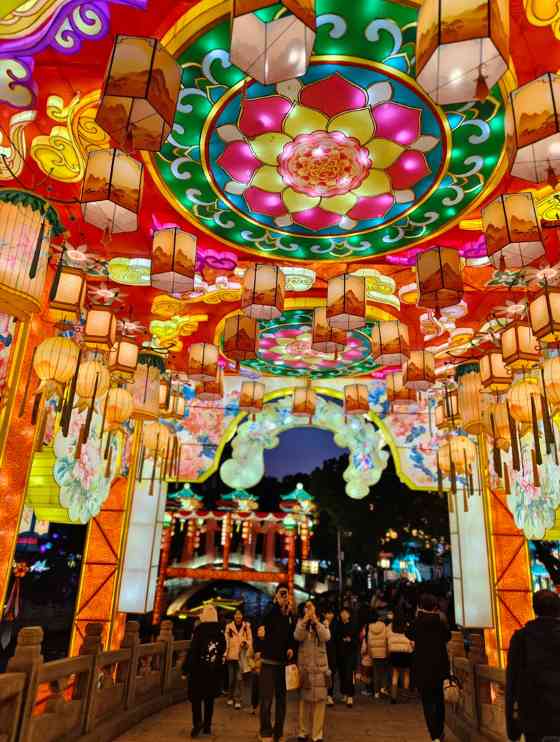 秦淮灯会点亮非遗文化，中外交流共绘璀璨新篇章(图11)