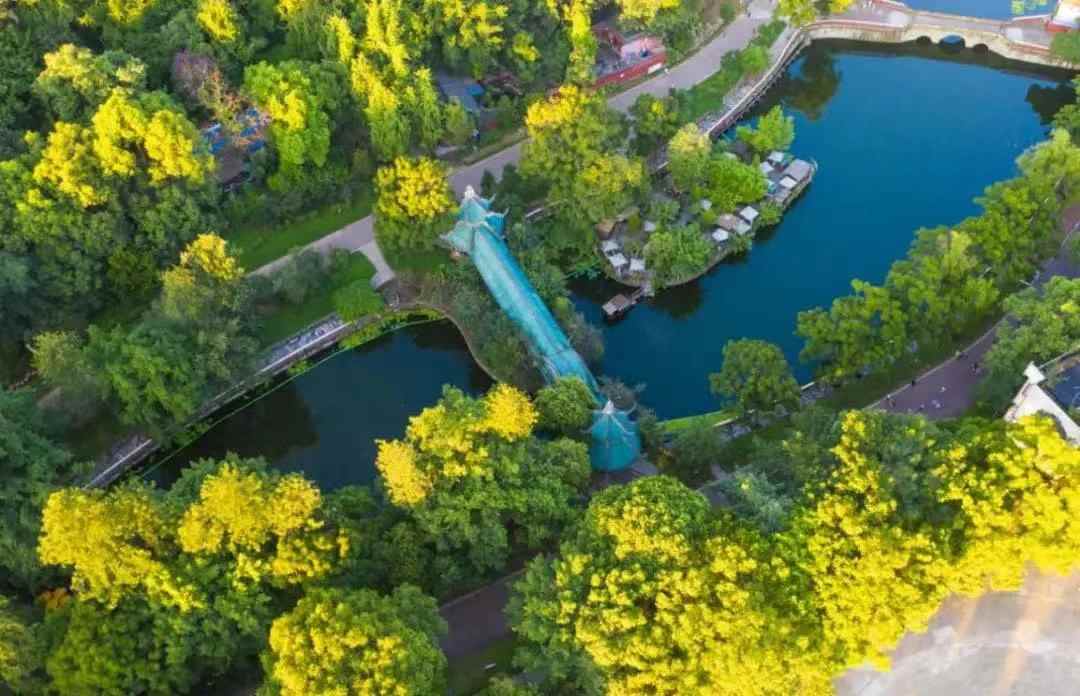 中国彩灯博物馆招募小小志愿者 8-17岁青少年可报名参与文化传承(图3)