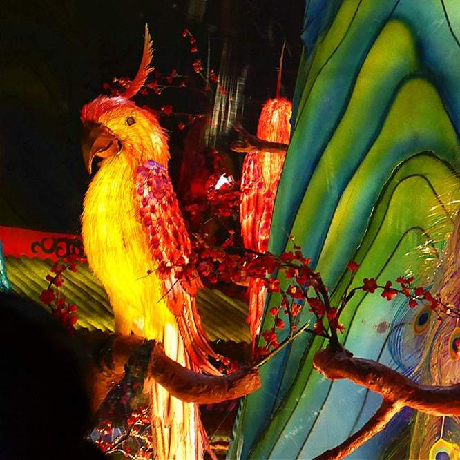 自贡恐龙灯会雀之灵孔雀灯入驻彩灯博物馆(图3)