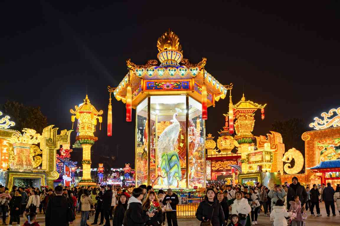 自贡恐龙灯会雀之灵孔雀灯入驻彩灯博物馆(图1)