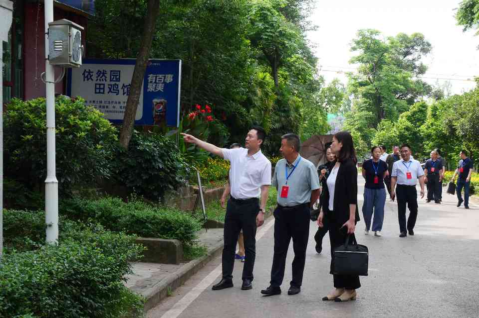 自贡人民公园升级改造调研推进 彩灯博物馆馆园一体化建设(图1)