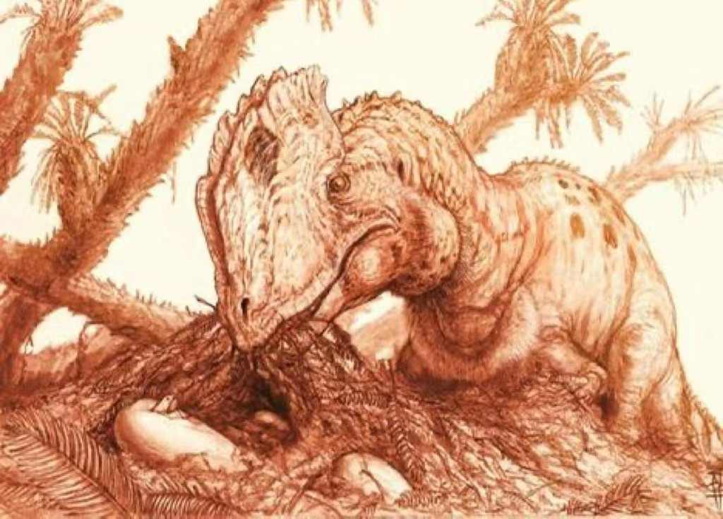 自贡彩灯工匠创新蚕茧工艺 制作双冠龙灯组捐赠博物馆(图2)