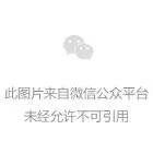 王孝谦率队开展《自贡彩灯文化保护条例》立法调研(图6) 王孝谦率队开展《自贡彩灯文化保护条例》立法调研(图6)