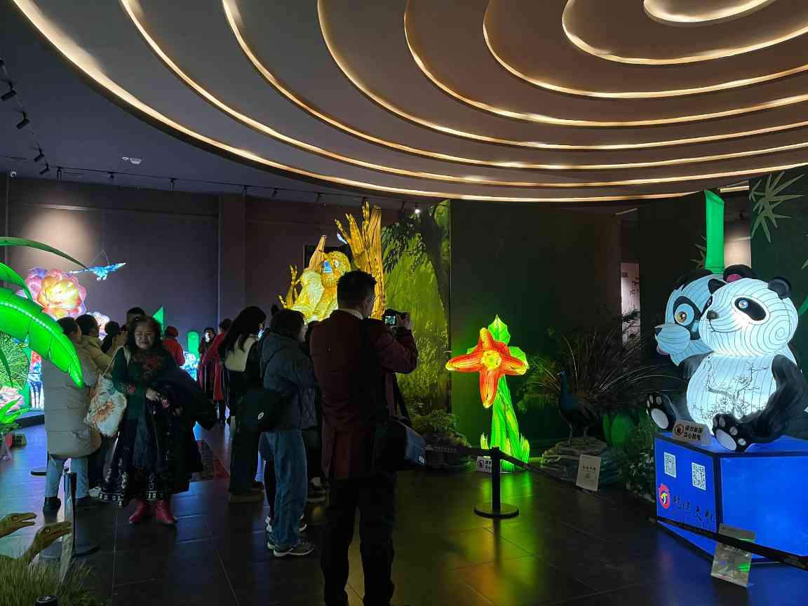 欢乐扎堆,文化味浓——中国彩灯博物馆春节文化惠民活动精彩不断(图4) 欢乐扎堆,文化味浓——中国彩灯博物馆春节文化惠民活动精彩不断(图4)