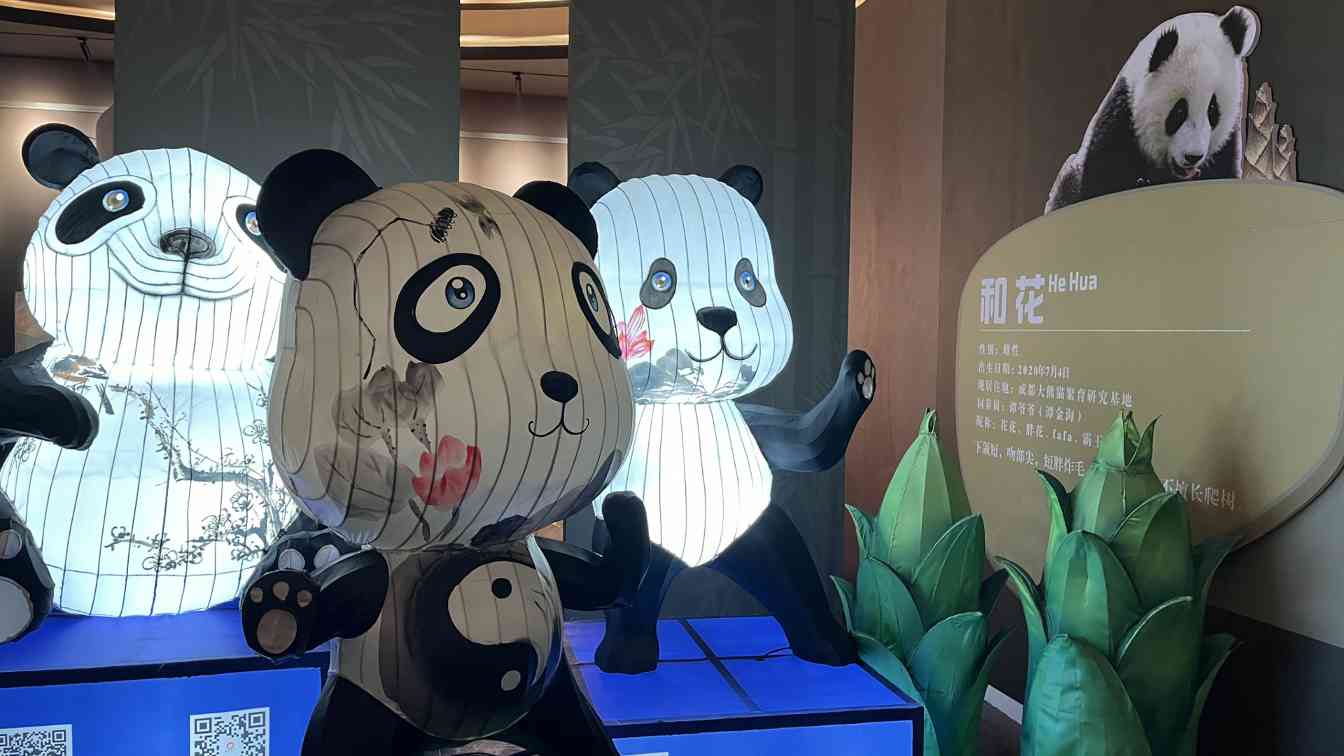 灯博展讯 | “川灯・蜀韵——岁时风物展”将于2025年元旦在中国彩灯博物馆开展(图3)
