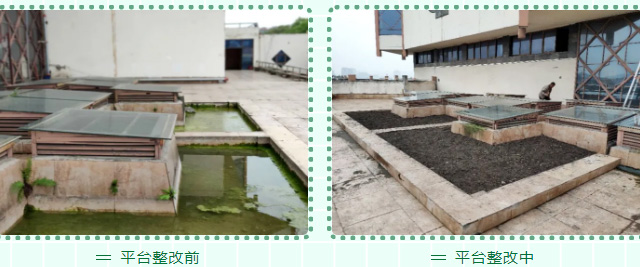 中国彩灯博物馆开启整洁馆园爱国卫生整治行动(图5)