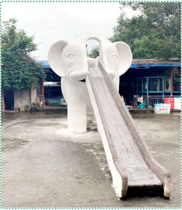 中国彩灯博物馆开启整洁馆园爱国卫生整治行动(图16)