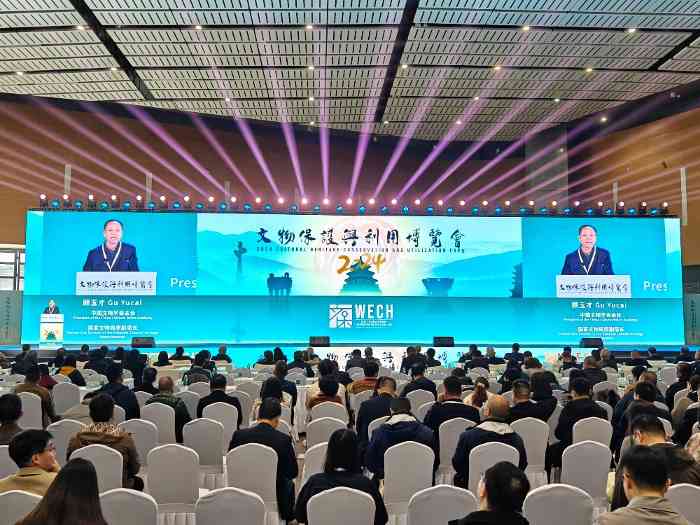 彩灯文化展现非遗魅力 驱动国际合作平台(图1)