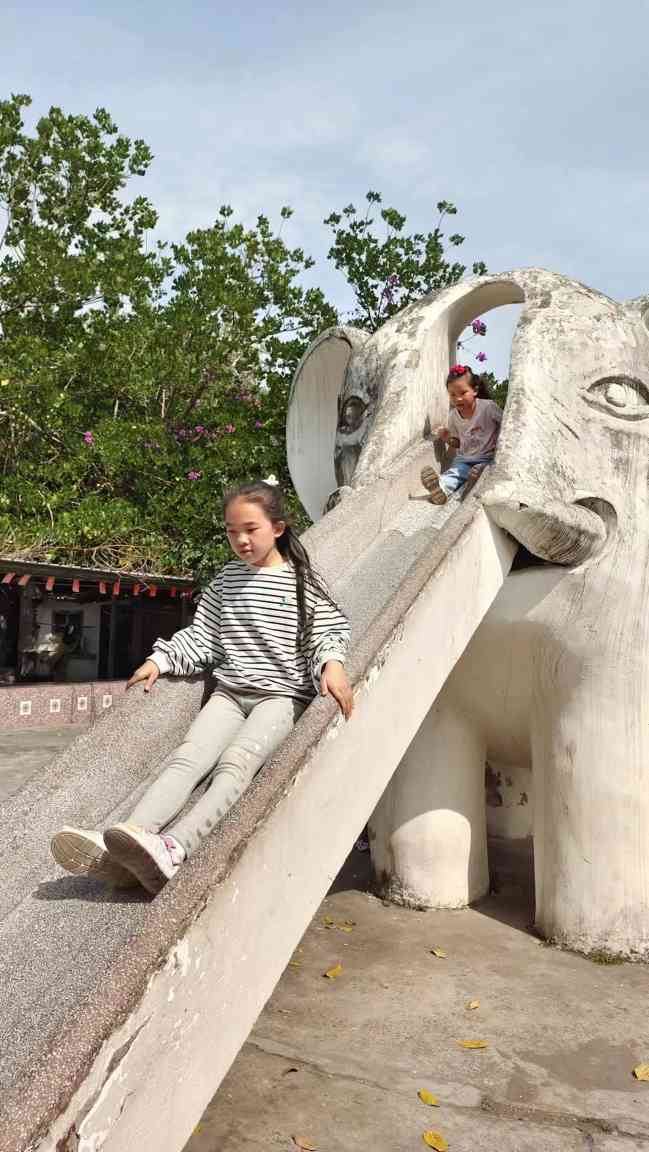 彩灯博物馆五一亮点：文旅活动与安全举措交相辉映(图7)