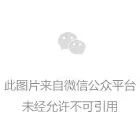小记者探秘彩灯博物馆 感受传统文化魅力(图3) 小记者探秘彩灯博物馆 感受传统文化魅力(图3)