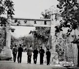 百年公园见证自贡城市记忆与乡愁传承(图3)