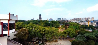 百年公园见证自贡城市记忆与乡愁传承(图8)