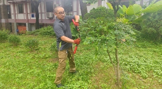 自贡彩灯公园科学应对高温 多举措保障植物生长(图1) 自贡彩灯公园科学应对高温 多举措保障植物生长(图1)